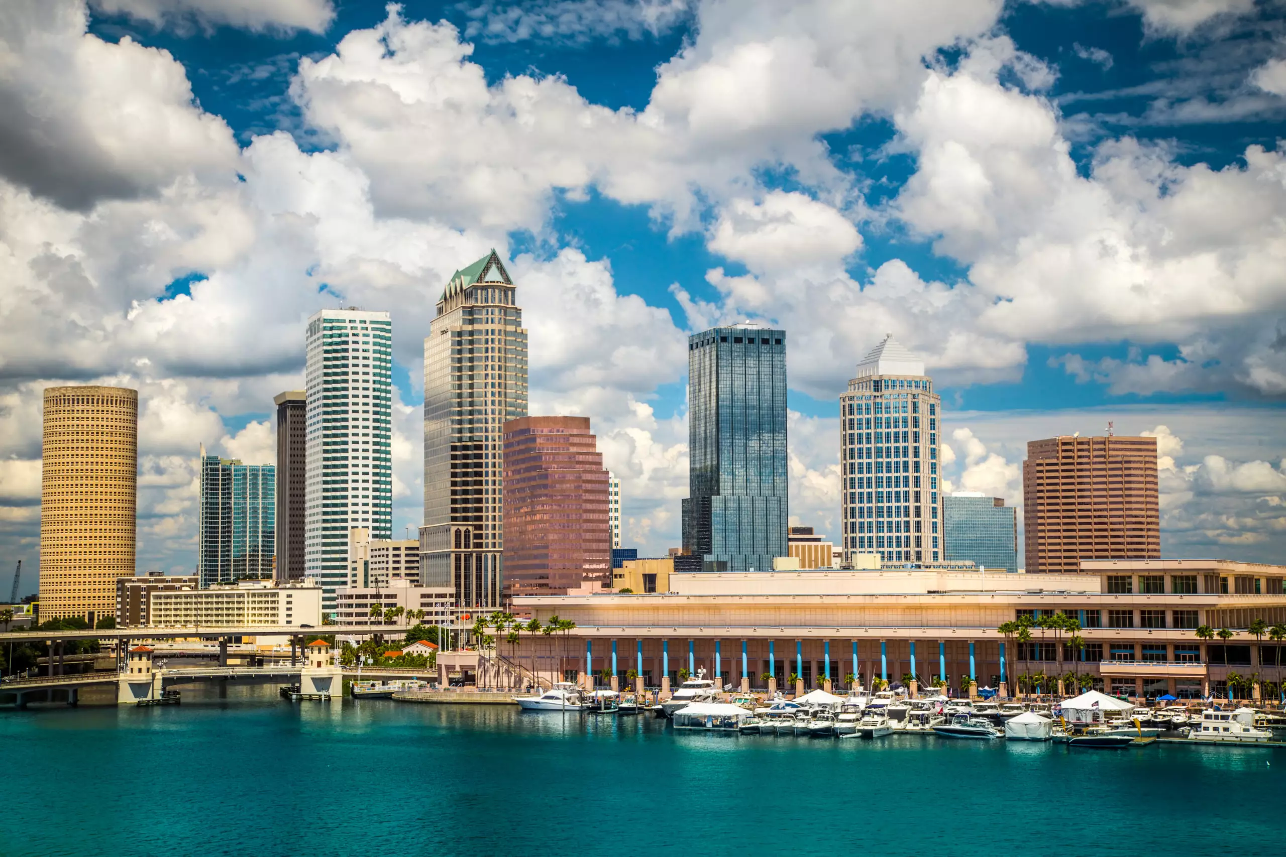 Tampa Florida Skyline